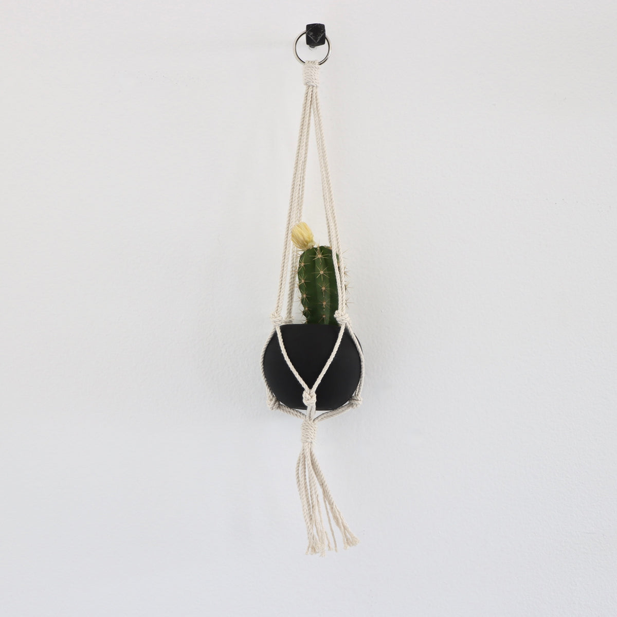 Black Orbit Mini Terracotta Planter with Macrame Hanger - Holistic Habitat 