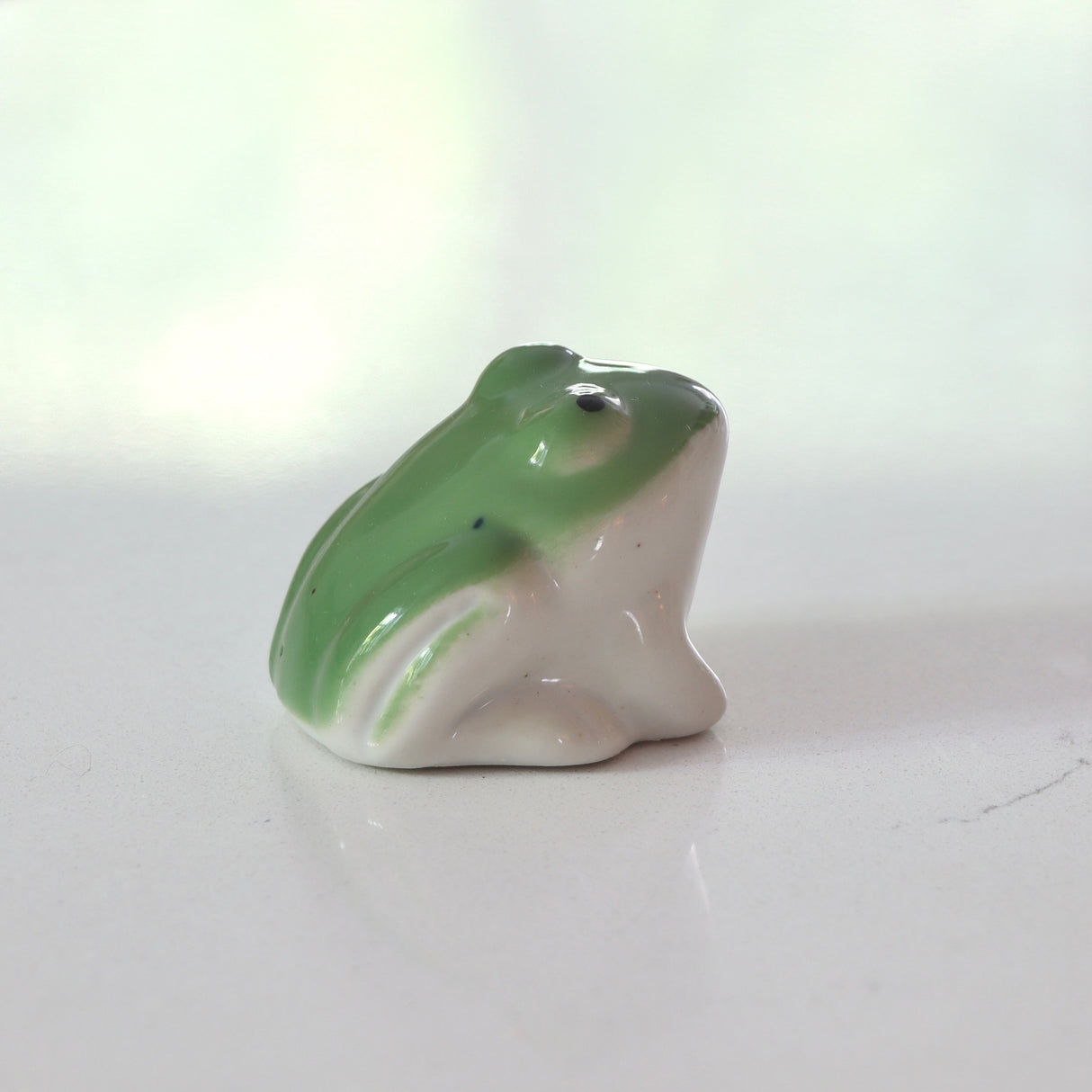 Frida Floating Ceramic Frog - Holistic Habitat 