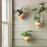 The Minimalist Holistic Habitat Double-Dipped Terracotta Wall Planter - Holistic Habitat 