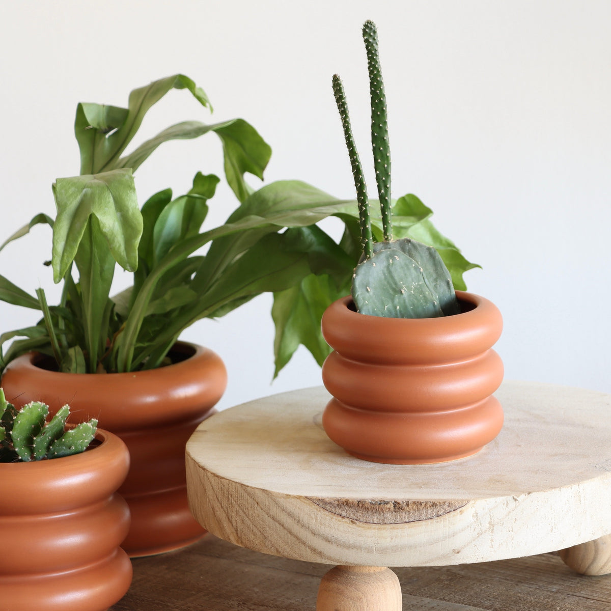 Stak Terracotta Ceramic Pot - Medium - Holistic Habitat 