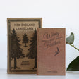 New England Bird Nesting Book Set - Holistic Habitat 