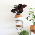 The Holistic Habitat Wall Mount Funnel Planter-White - Holistic Habitat 