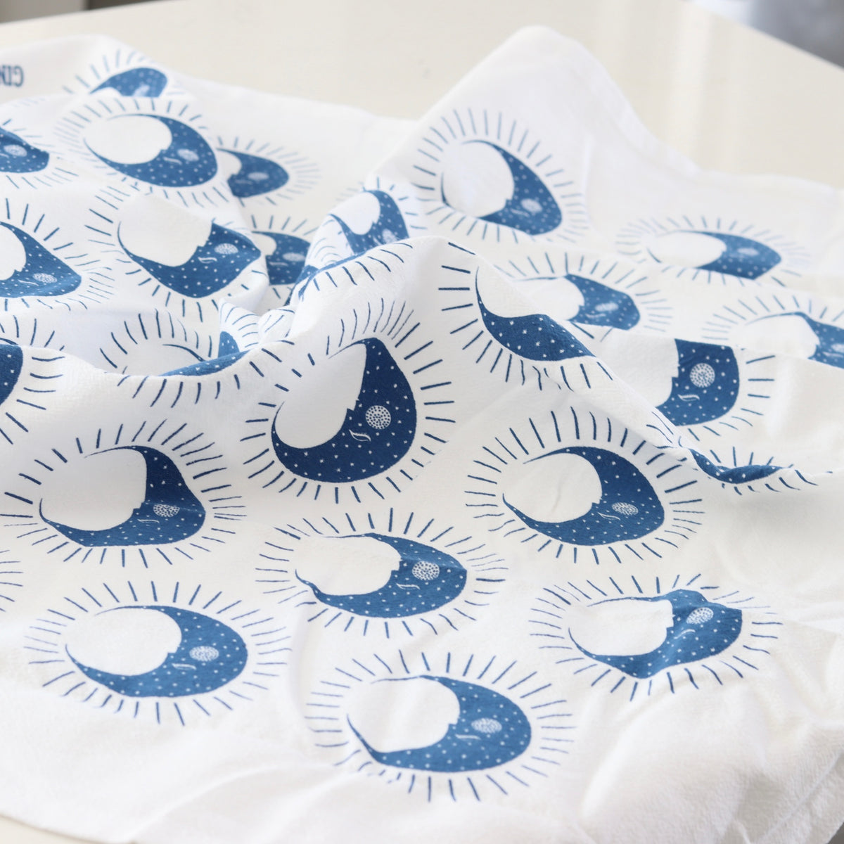 Blue Moon Flour Sack Tea Towel - Holistic Habitat 
