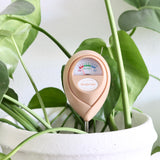 Moisture Meter - Pink - Holistic Habitat 