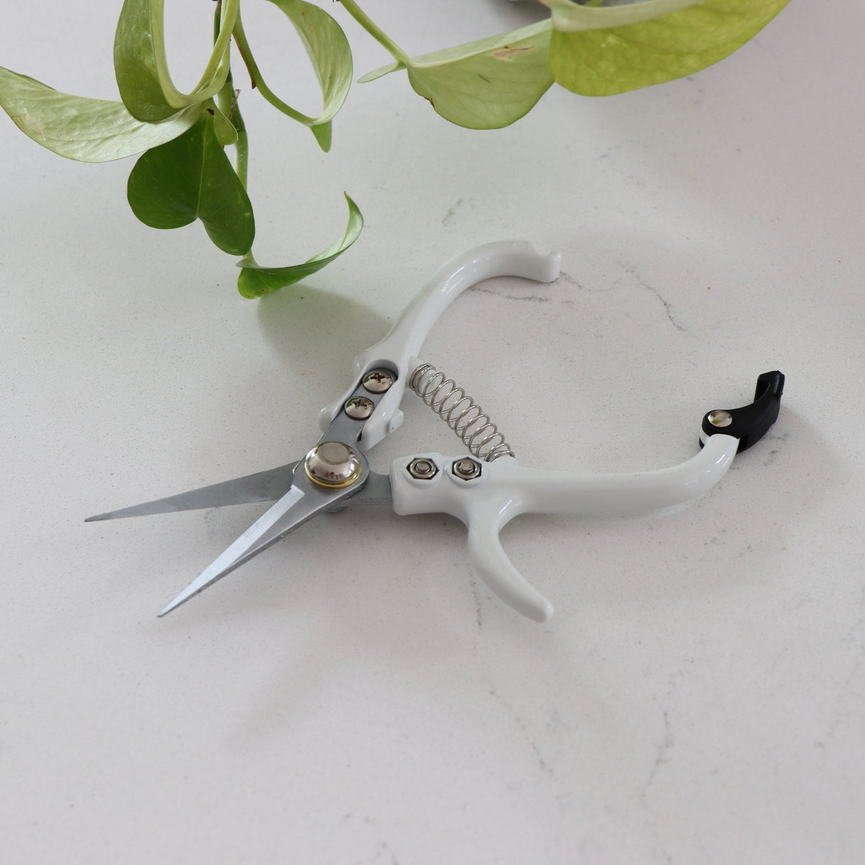 Pruning Shears - White - Holistic Habitat 