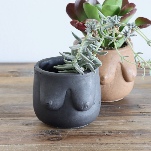 Sein Boob Plant Pot - Coal - Holistic Habitat 