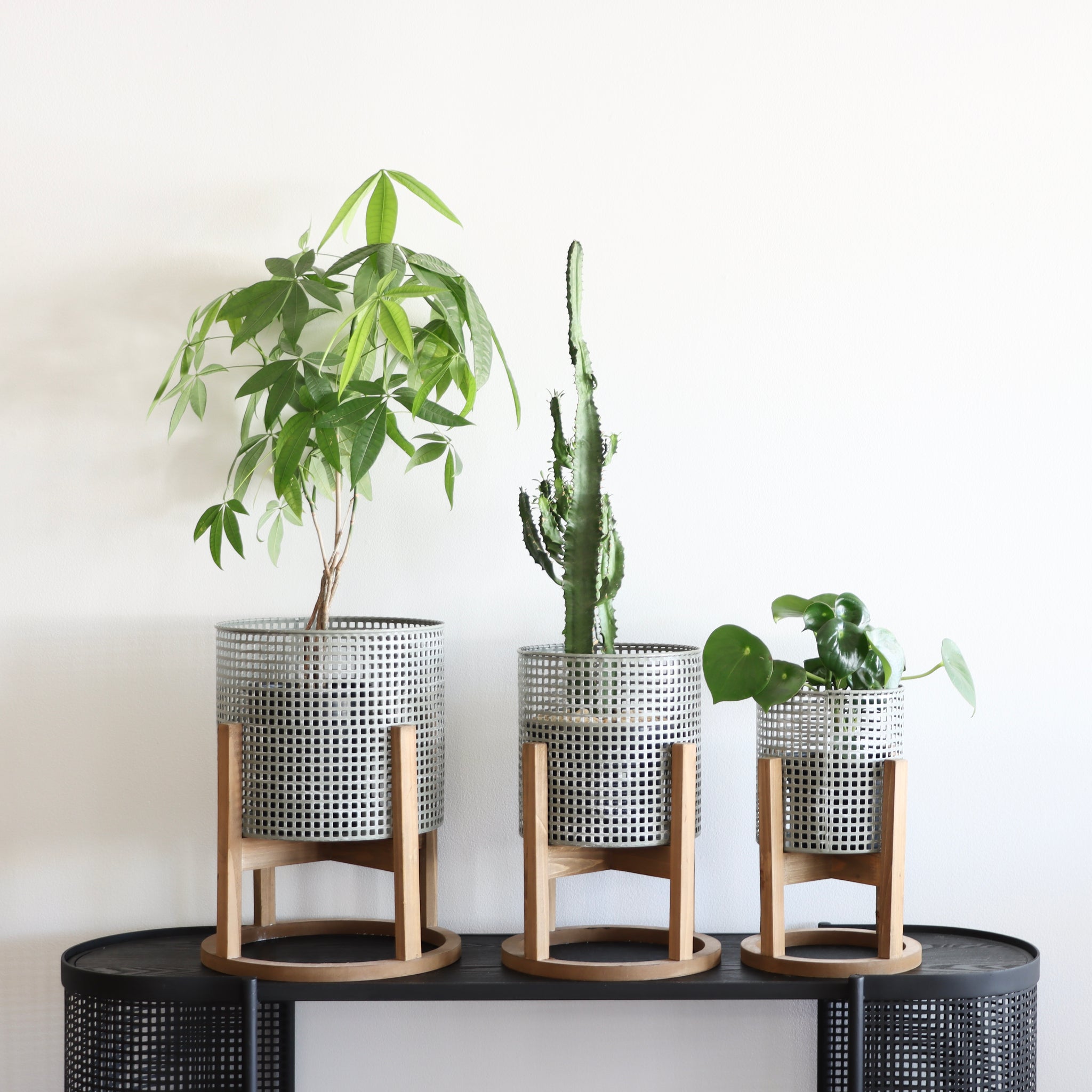 Planter planters corten