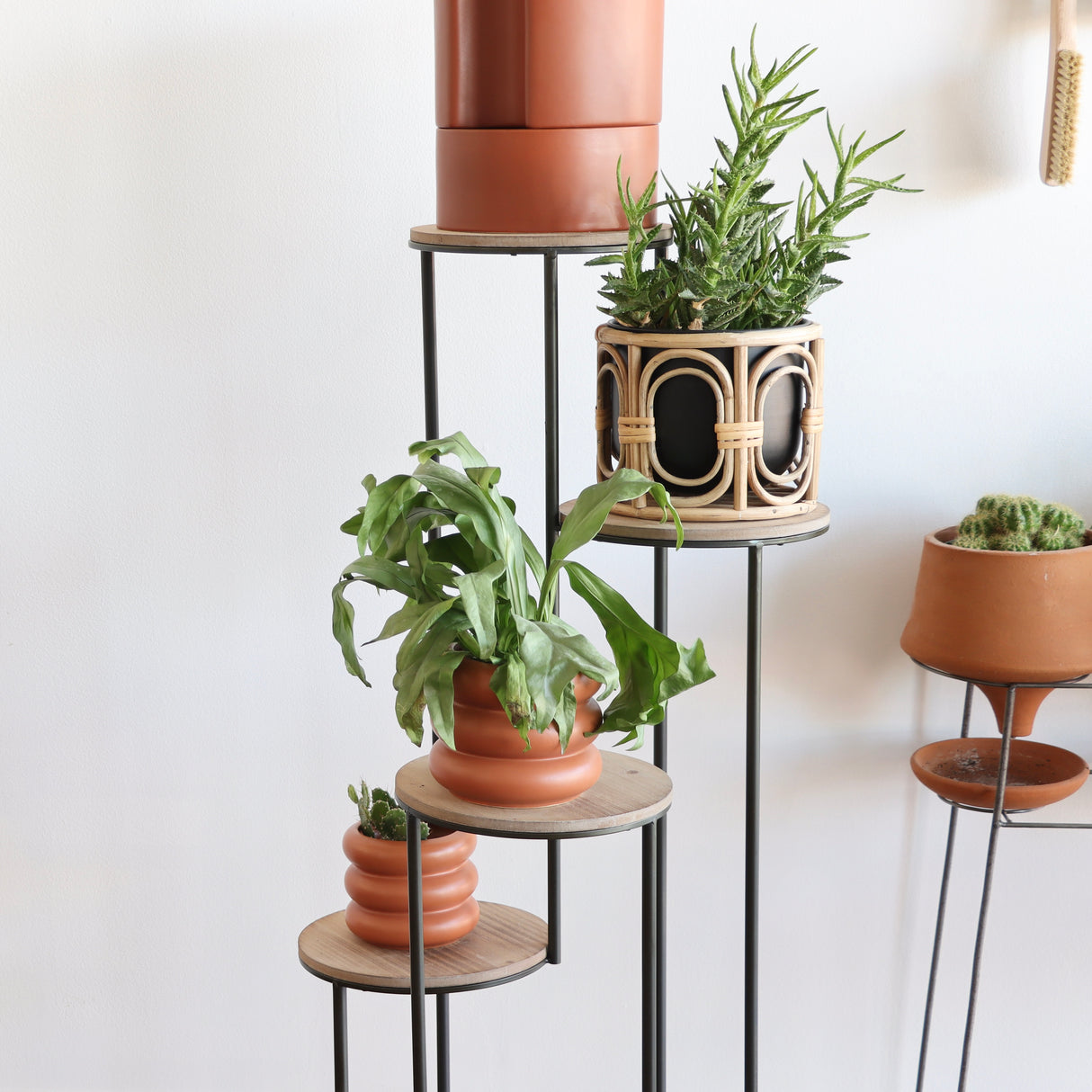 Yana Four-Tier Plant/Display Stand - Holistic Habitat 