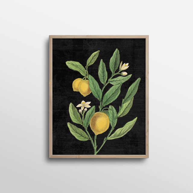 Classic Lemons Botanical - Holistic Habitat 