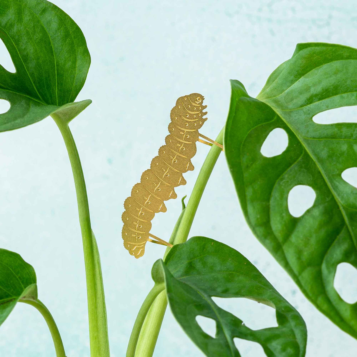 Caterpillar Etched Brass Houseplant Decoration - Holistic Habitat 