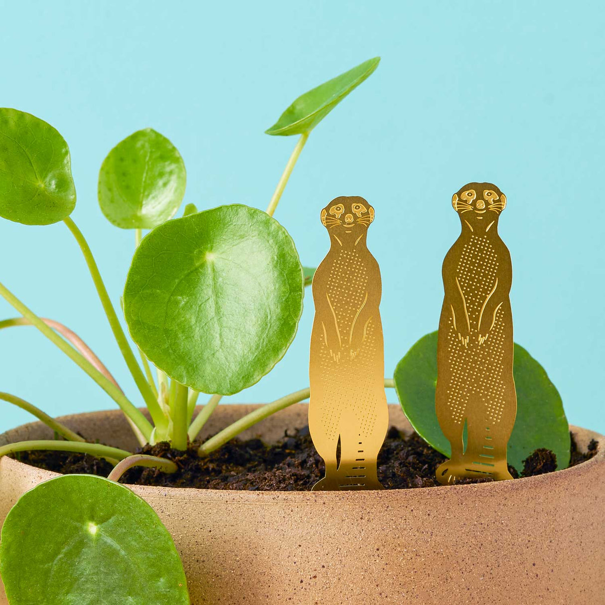 Meerkat Etched Brass Houseplant Decoration - Holistic Habitat 