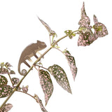 Chameleon Etched Brass Houseplant Decoration - Holistic Habitat 