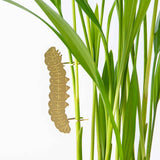 Caterpillar Etched Brass Houseplant Decoration - Holistic Habitat 