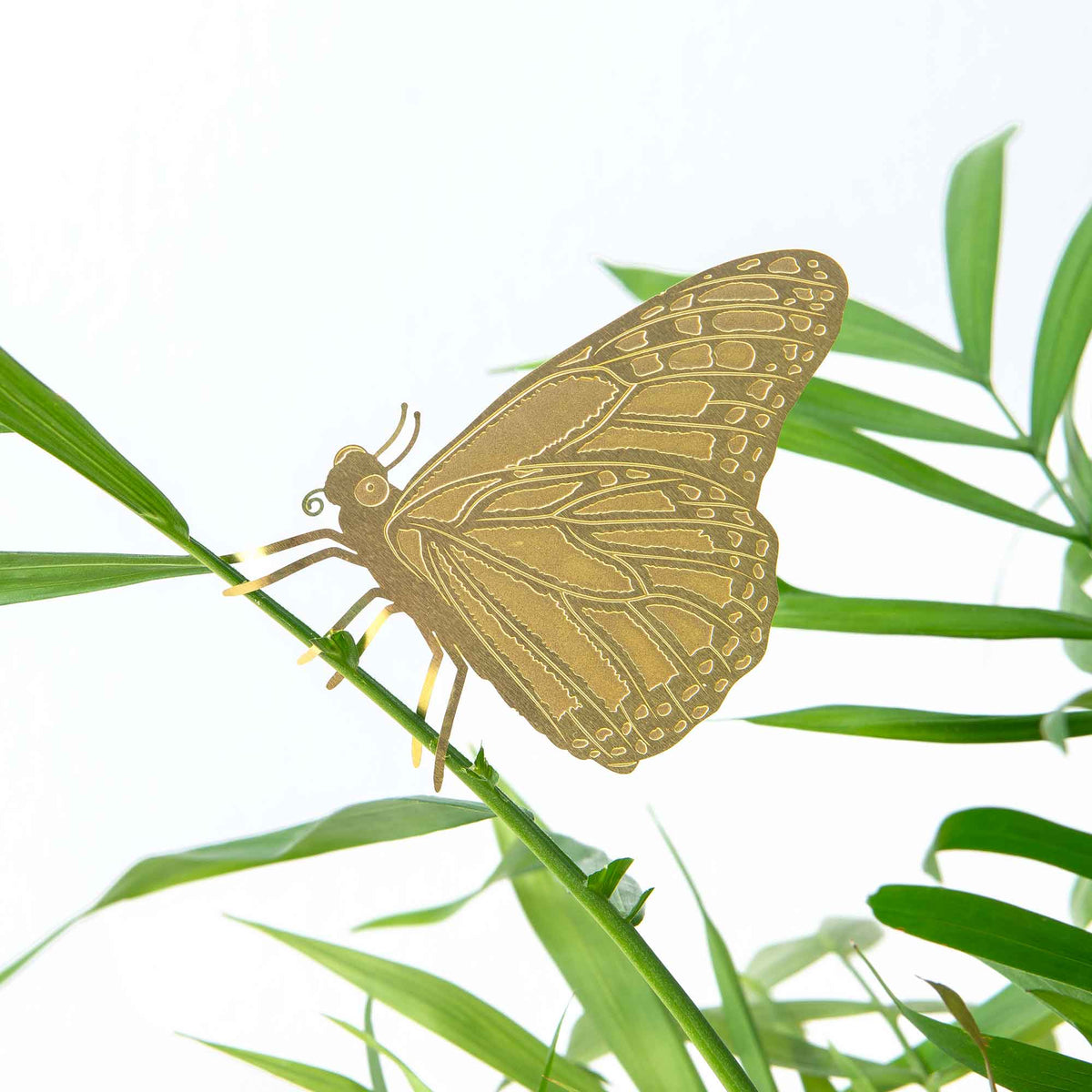 Butterfly Etched Brass Houseplant Decoration - Holistic Habitat 