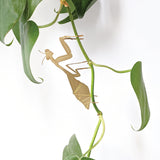 Praying Mantis Etched Brass Houseplant Decoration - Holistic Habitat 