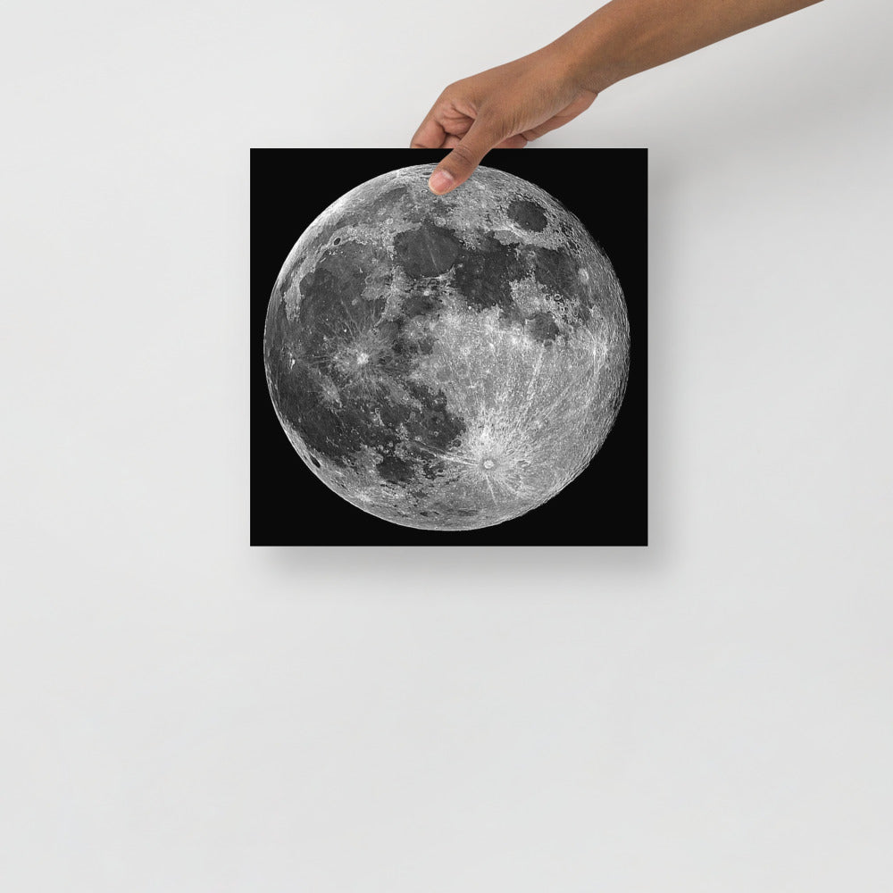 Lunar Shift - Holistic Habitat 
