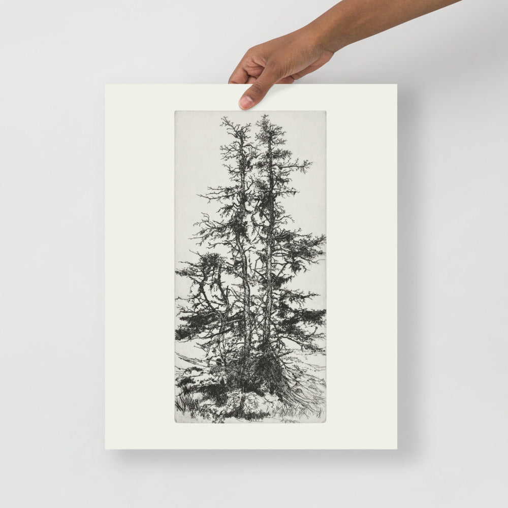 Tree Top Etching II - Holistic Habitat 