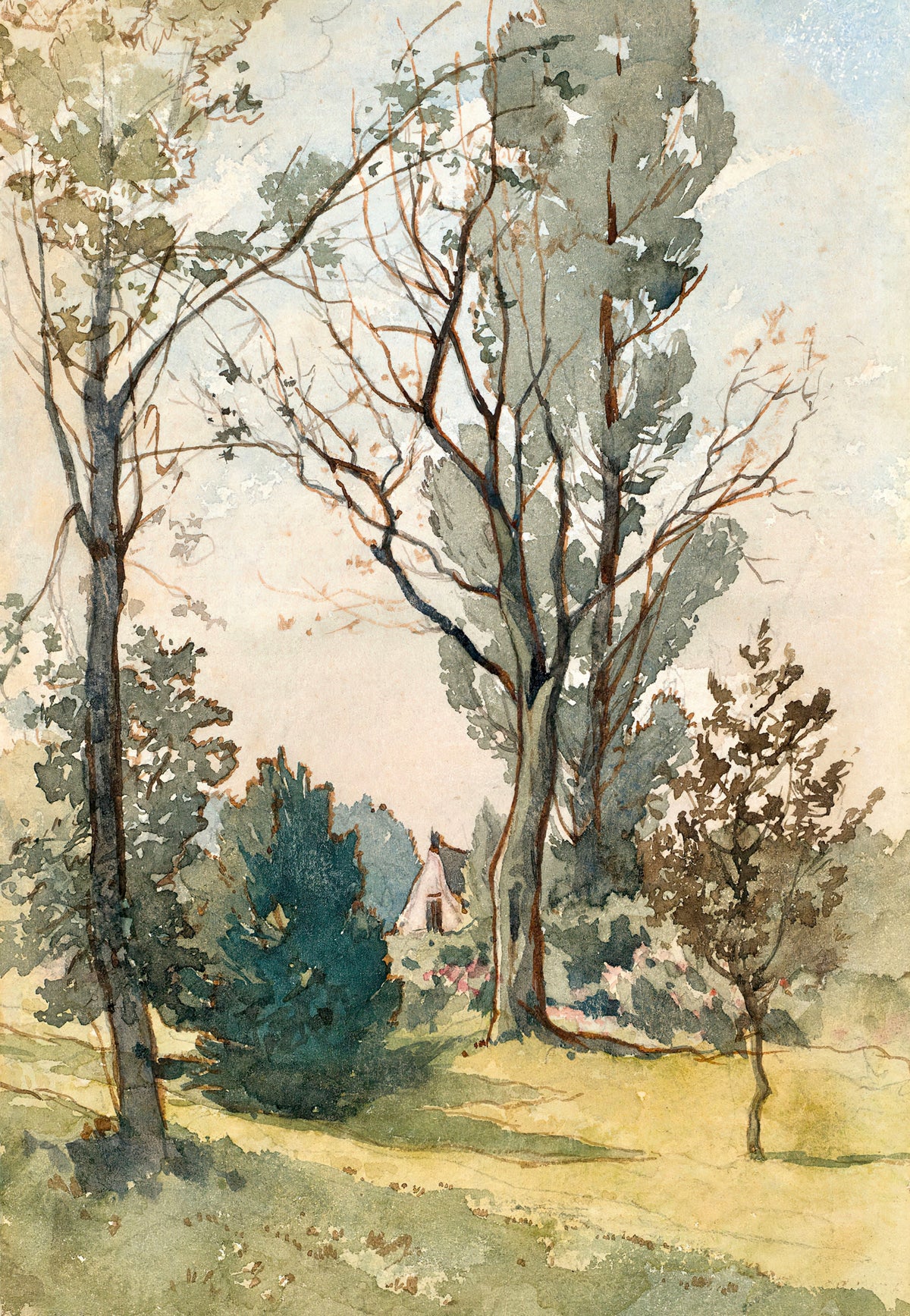 Trees in Watercolor II - Holistic Habitat 