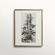 Tree Top Etching II - Holistic Habitat 